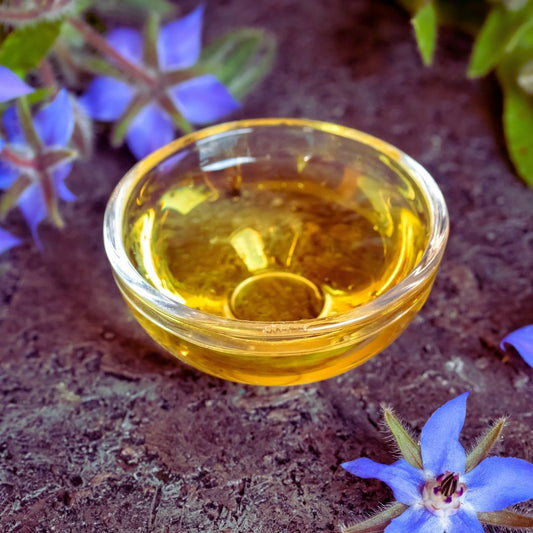 Borage Oil Refined