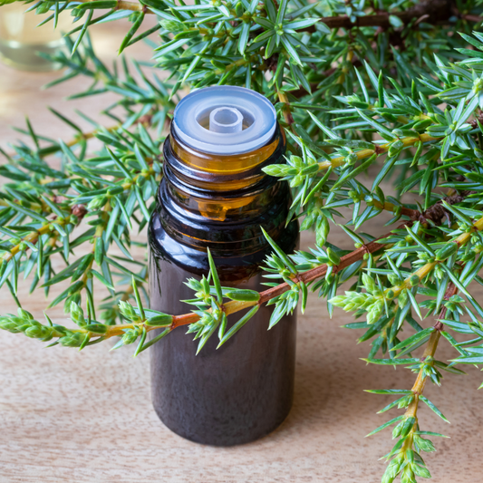 brown glass bottle with dropper cap showing, surrounded by Juniper foliage containing Juniper Berry essential oil
